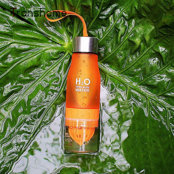 2019 Creative Fruit Juice Infuser Water Bottle
